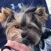 Sue Ryder - @sue.ryder3 - TikTok