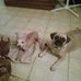 Sue Salinas - Facebook