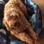 Sue Jane - @sue.salisbury.3 - Instagram