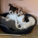 Sue Salisbury - @sue.jengas - Instagram