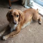 Sue Sams - @suesams - Instagram