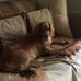 Sue Sams - Facebook