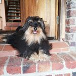 Sue Samson - @samsonsue616 - Instagram