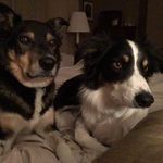 Sue Samson Seemann - @sueseemann - Instagram