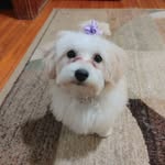 Patti-Sue Saxton - @cherylssister - Instagram