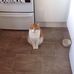 Sue Saxton - Facebook