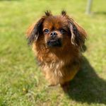 Sue Scanlon - @suescanlon - Instagram