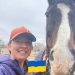 Sue Schafer - @sueschafer4 - Instagram