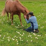 Sue Ann Schmitz - @ed.sue.schmitz - Instagram