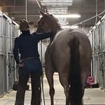 Sue Schmitz - @schmitzie58 - Instagram
