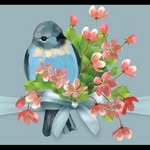 Sue Schrader - @suschrader1682 - Instagram