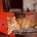 Annabell-Sue Schreiber - Facebook