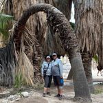 Sue Mount Schreiber - @sschreib76 - Instagram