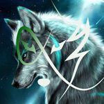 Sue Schreiber - @spiritwolf128 - Instagram