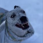 Sue Schreiber - @sueschreiberphotography - Instagram