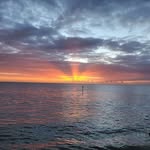 Sue Searle - @sm.searle - Instagram