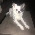 Sue Seifert DiPiero - @sdipiero01 - Instagram