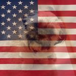 Sue Shank - @shank525 - Instagram