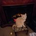 Sue Shank - Facebook