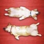 Sue Shapiro - @drsusanshapirohotmailcom - Instagram