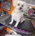 Sue Sharples - Facebook