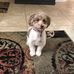 Sue Sharples - Facebook