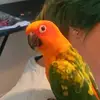 Peppy Le Sue - @short_sue_1970 - TikTok