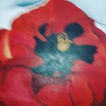 Sue Short - @stolijerry - Instagram
