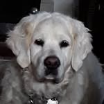 Sue Short - @sue.short.20 - Instagram
