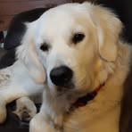 Sue Short - Facebook