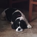 Sue Short Olinger - @sue.olinger - Instagram