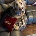 Sue Shrum - Facebook