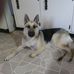 Sue Shrum - Facebook