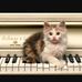 Sue Siler - Facebook