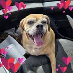 Sue Siler - @ssiler5150 - Instagram