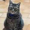 Sue Silva - @sue.silva83 - TikTok