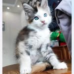Sue Silvers - @grandma_sue2024 - Instagram