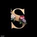 Sue Singh - Facebook