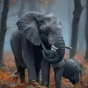 Sue Singleton - @sue.singleton3 - TikTok