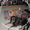 suesingleton - @suesingleton - TikTok