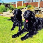 Sue Sinnott - @sinnott62 - Instagram