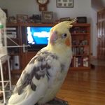 SueSlone - @sueslone5 - Instagram