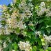 Sue Snell - Facebook