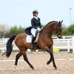 Sue Snell - @equisnell - Instagram