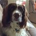 Sue Snell - Facebook