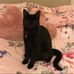 Sue Snell - Facebook