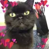 Sue Snell - @sue.snell4 - TikTok