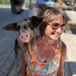 Sue Snell DiFilippo - @sdifilip - Instagram