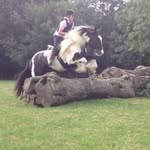 Sue Snelling - @suesnelling24 - Instagram