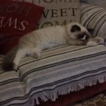 Sue Snook - @sue.snook.39 - Instagram